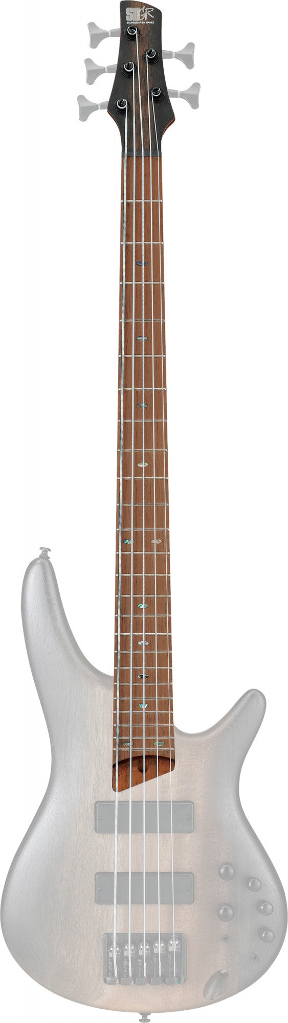 IBANEZ Hals für SR505E-SBD