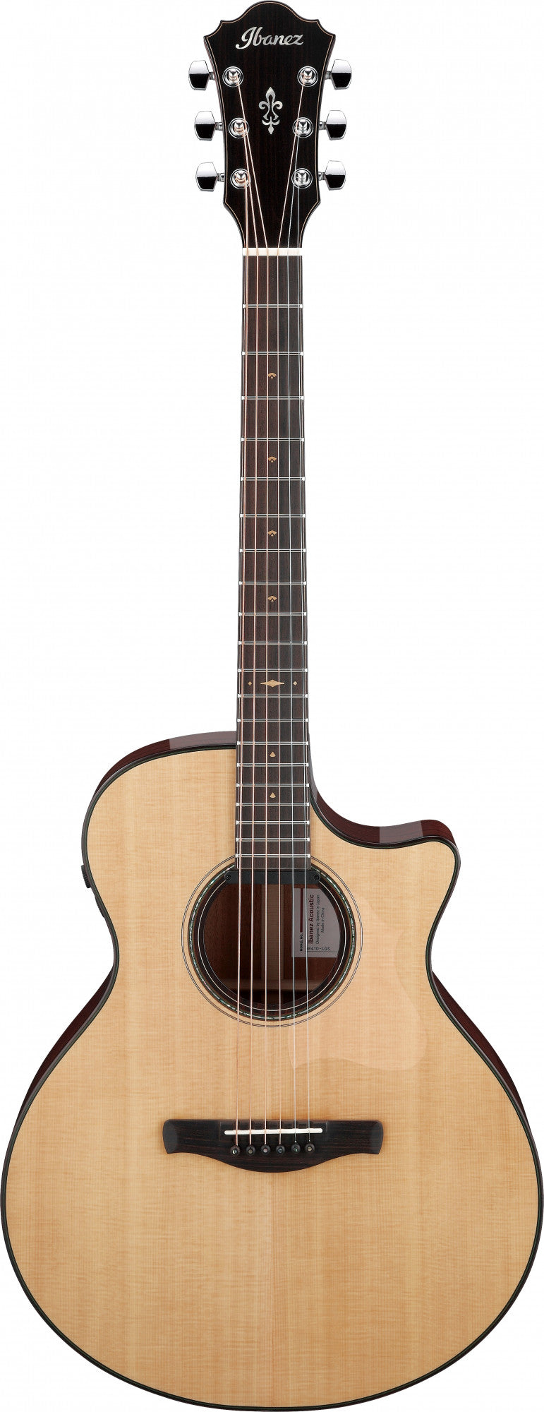 IBANEZ Platinum Collection Akustikgitarre 6 String - Natural Low Gloss + Case