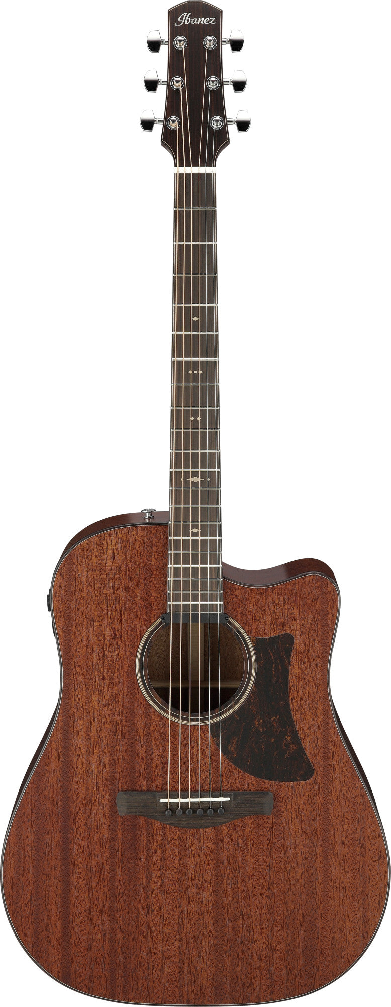 IBANEZ Advanced Acoustic Platinum Collection AAD Akustikgitarre 6-String - Natural Low Gloss + Koffer
