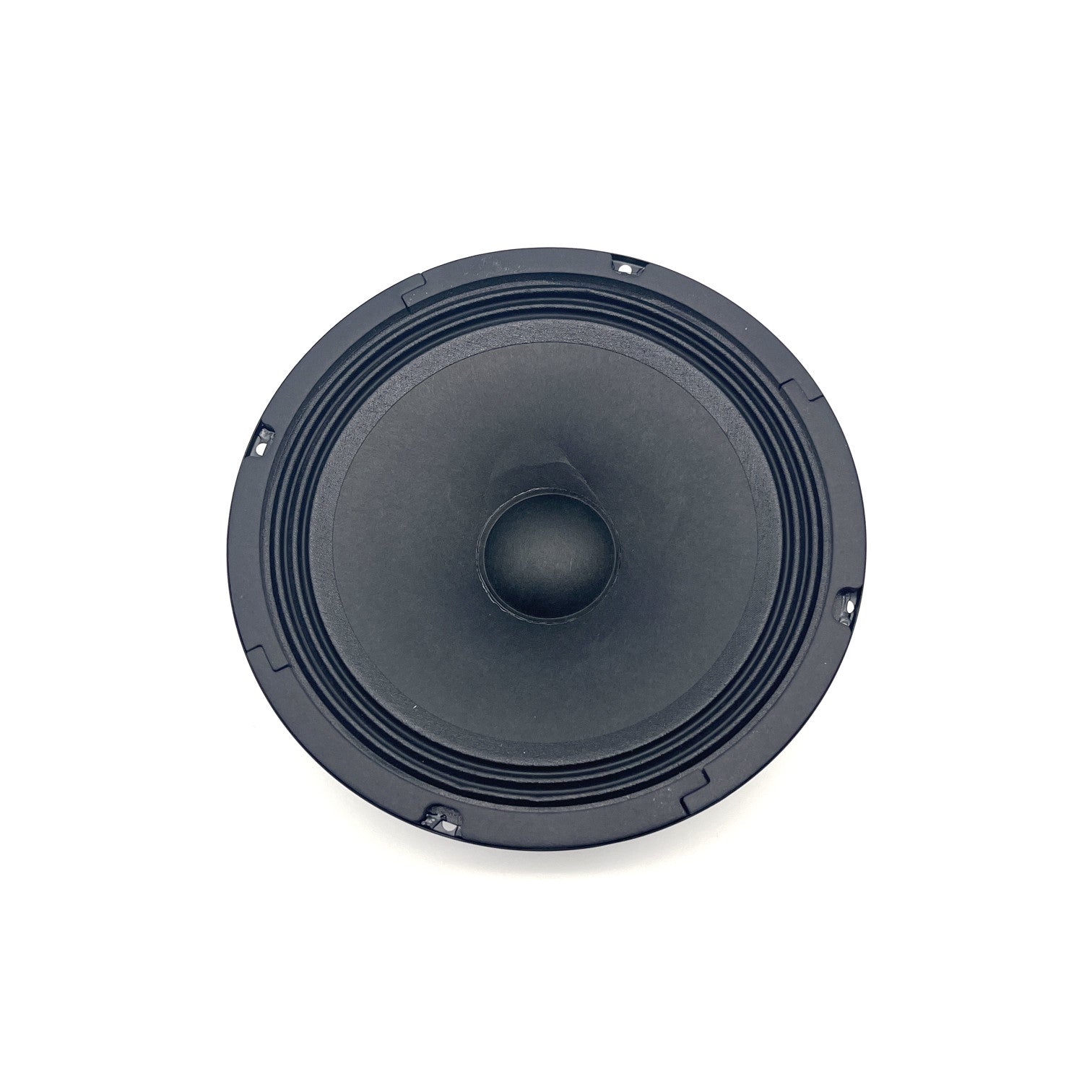 IBANEZ Speaker P20