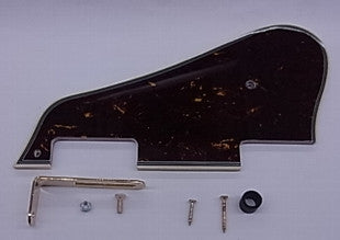 IBANEZ Schlagbrett - AS73G