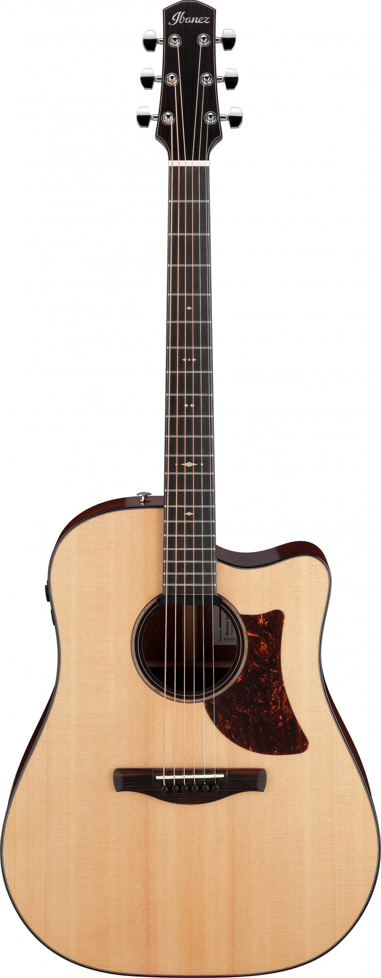 IBANEZ Platinum Collection Akustikgitarre 6 String - Natural Low Gloss + Case