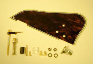 IBANEZ Schlagbrett - Schildpatt für GB10-BS/GB10-NT/GB30TH