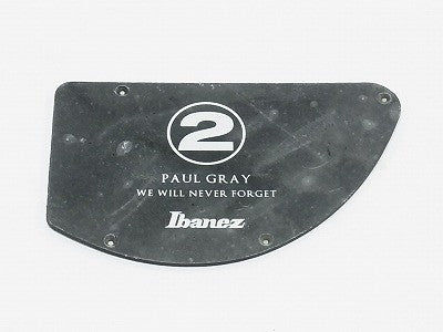 IBANEZ controle plate in  matt schwarz für PGB2T