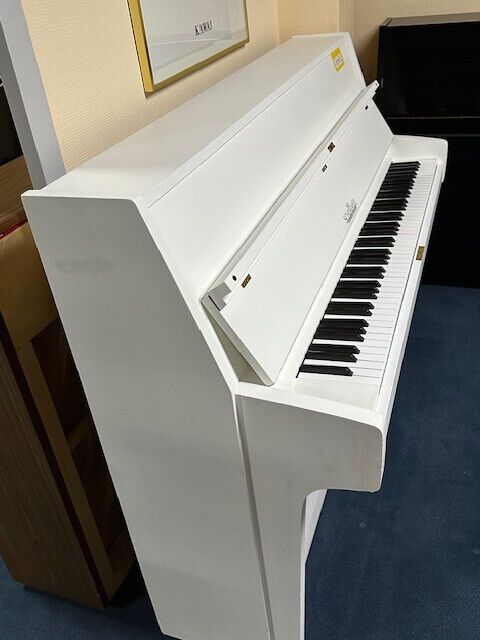 Schimmel 112 weiß matt