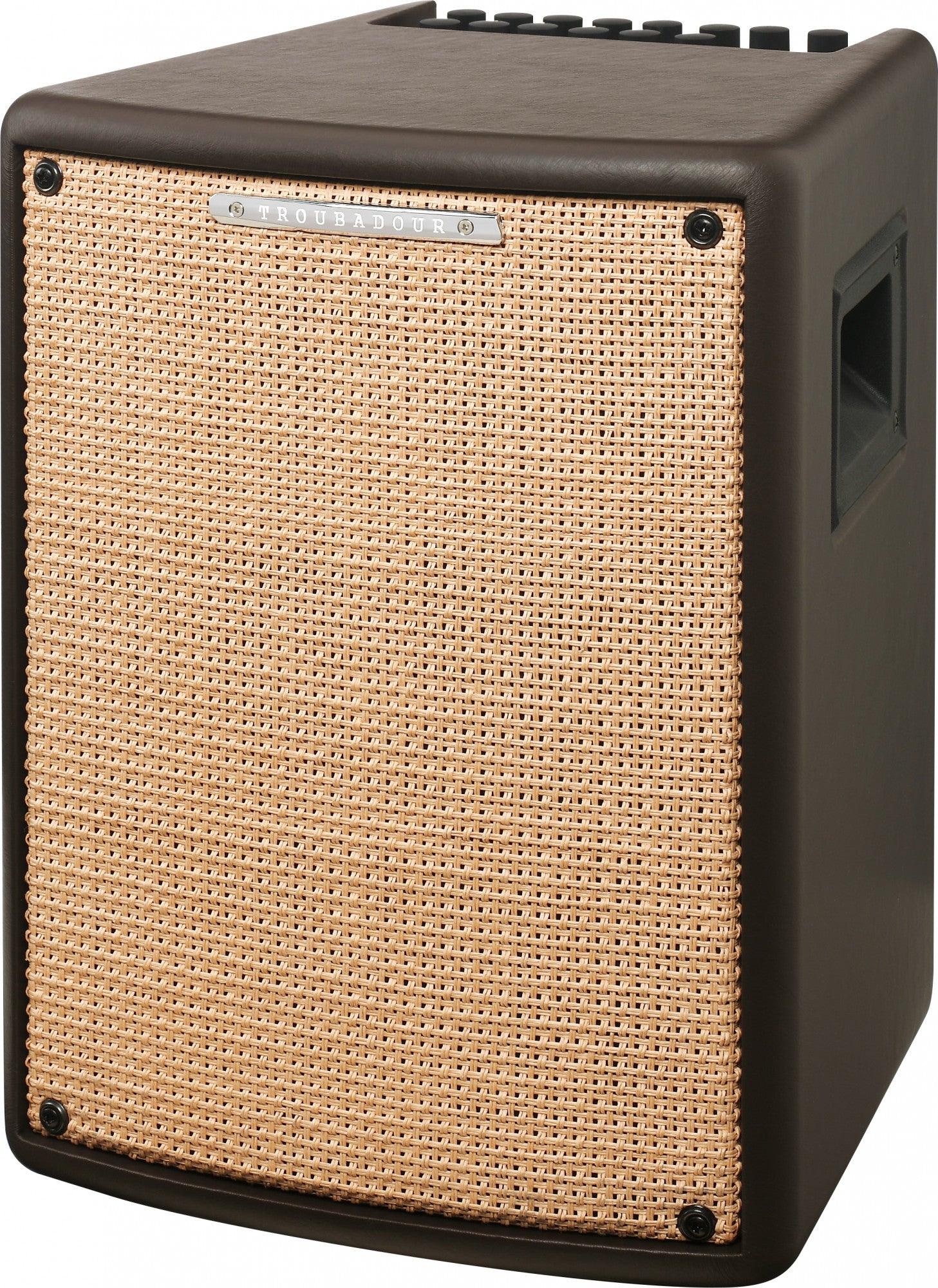 IBANEZ Troubadour Akustikverstärker - 80 Watt