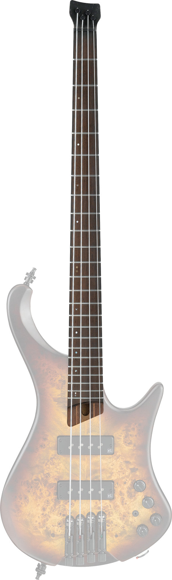 IBANEZ Hals für EHB1500 Modelle