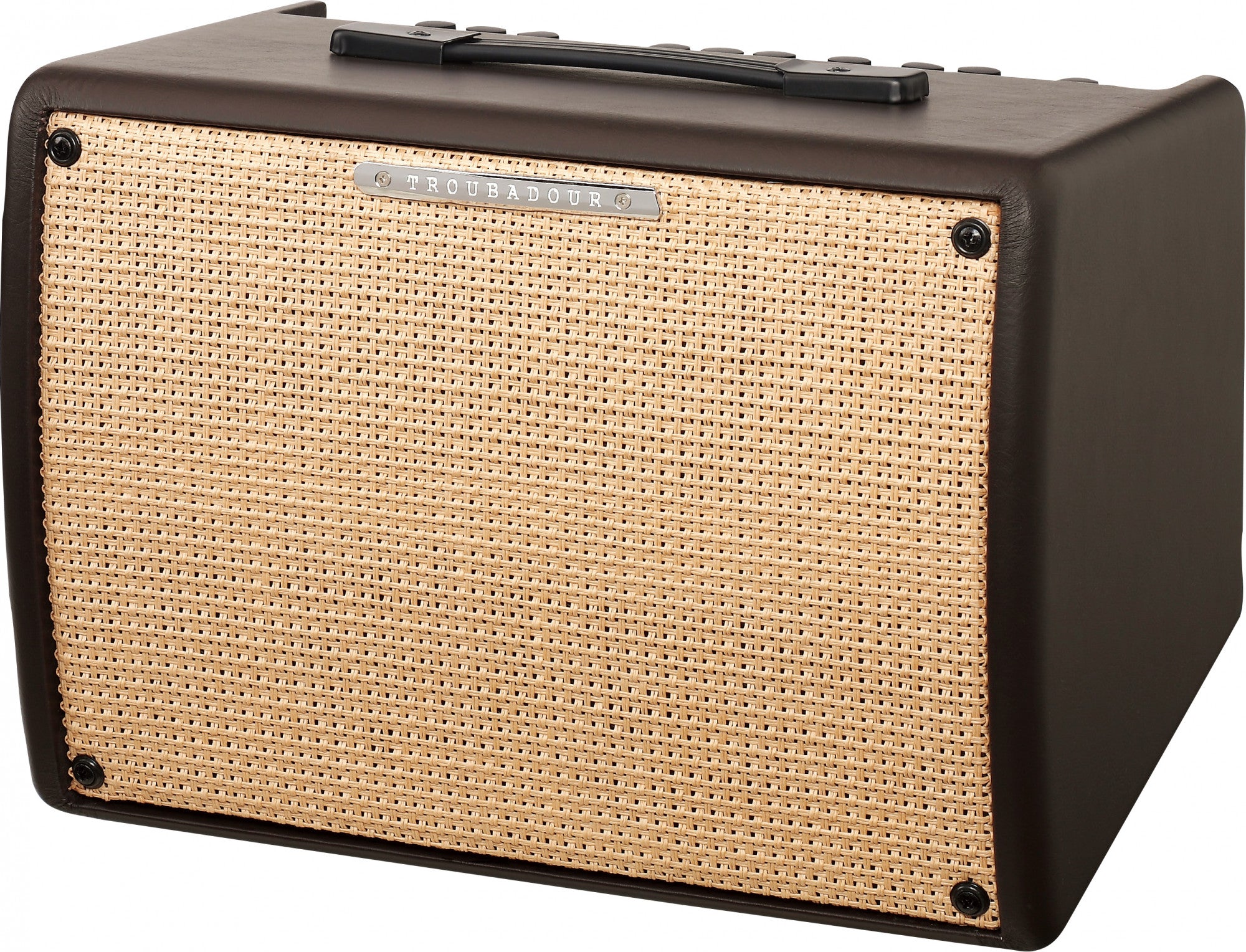 IBANEZ Troubadour Akustikverstärker - 30 Watt