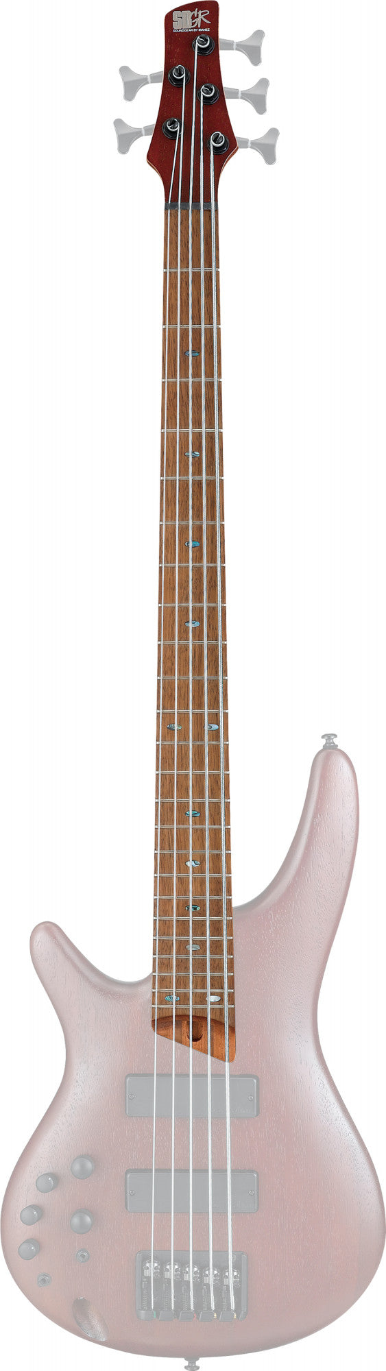 IBANEZ Hals für SR505EL-BM