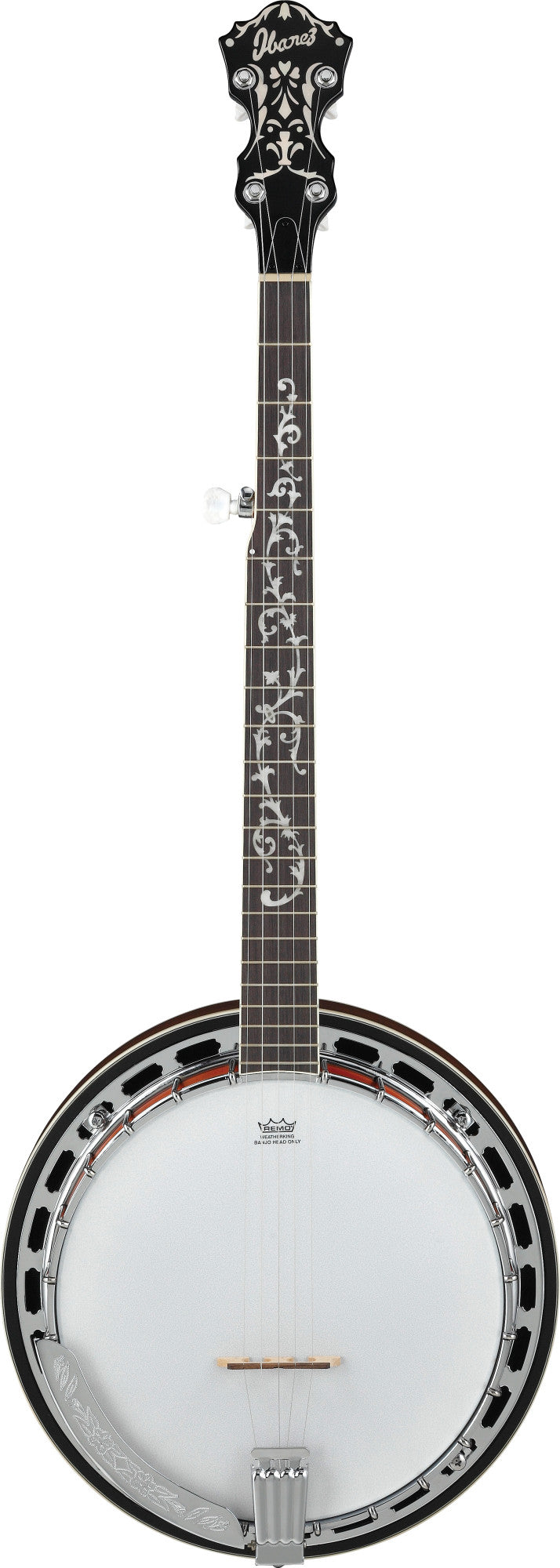 IBANEZ Banjo 5 String