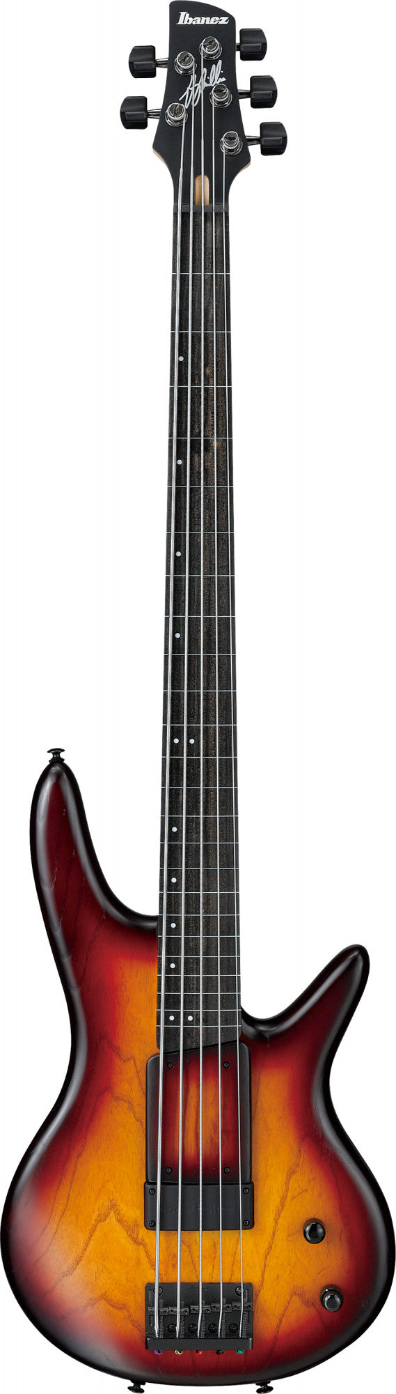 IBANEZ Garry Willis Signature E-Bass 5-String Fretless - Tequila Sunrise Flat + Gigbag