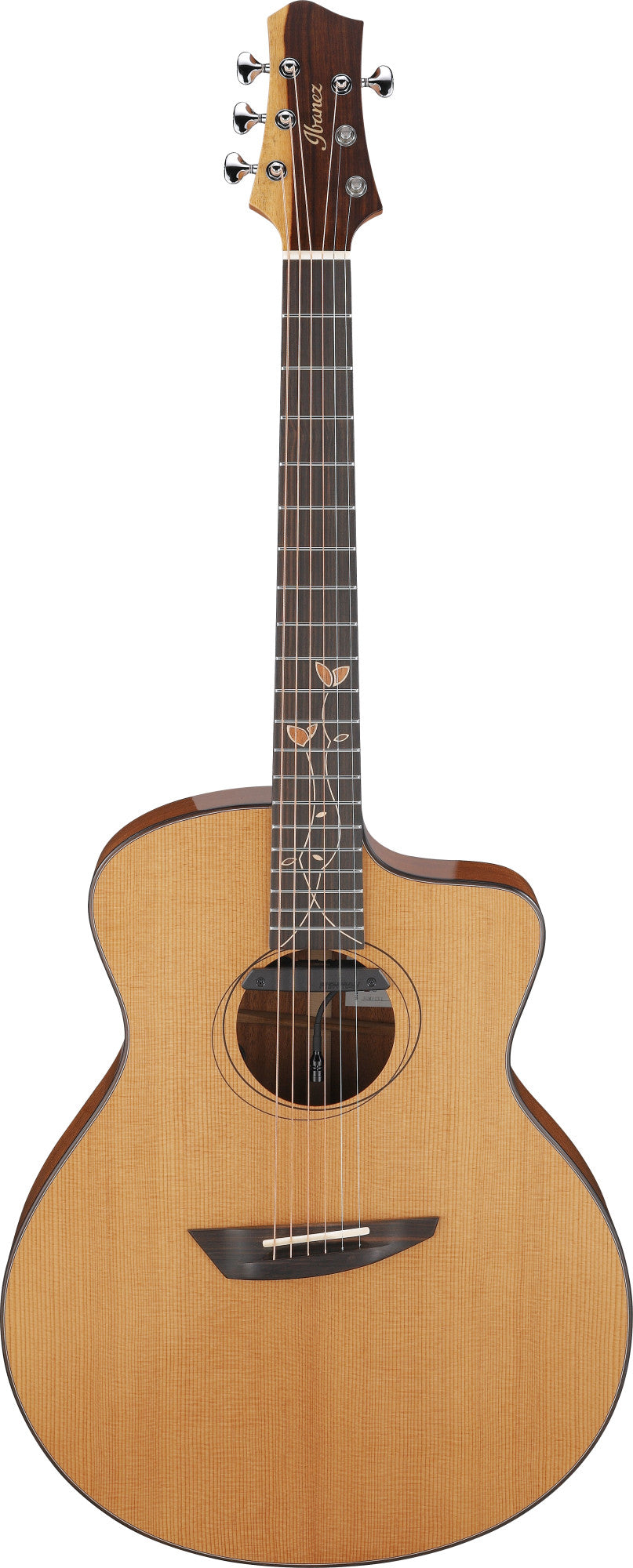 IBANEZ Jon Gomm Signature Akustikgitarre 6-String - Natural + Glasfaser-Koffer