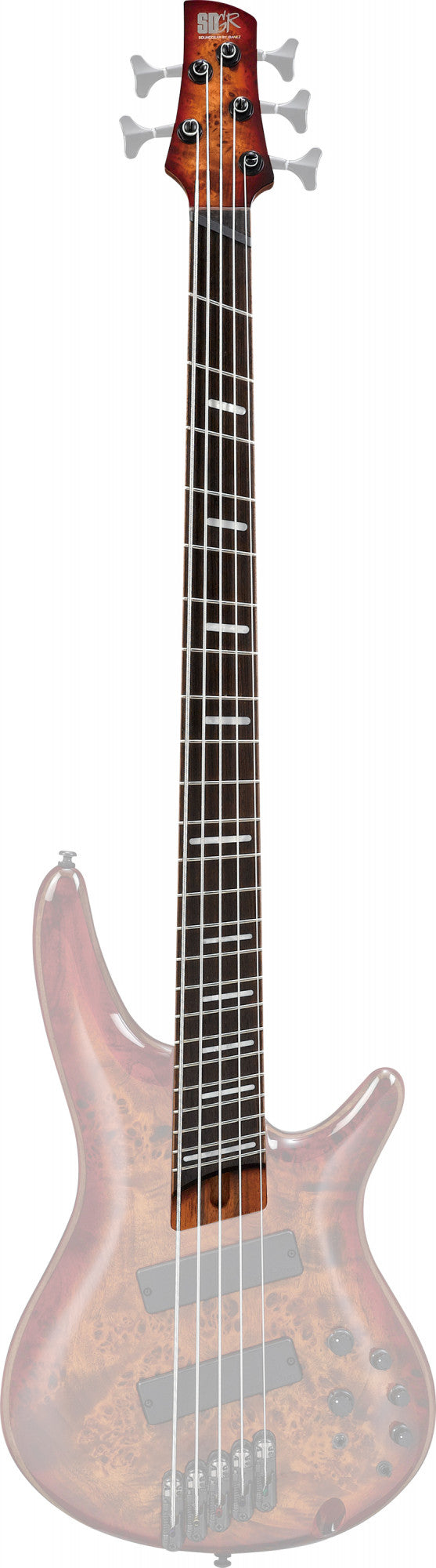 IBANEZ Hals für SRMS805-BTT